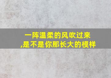 一阵温柔的风吹过来 ,是不是你那长大的模样